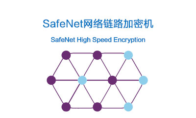 通过高速加密（HSE）保护关键基础架构和基本服务
